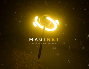 maginetintro behancepost